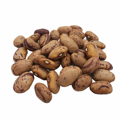 Borlotti Beans Dried 500g