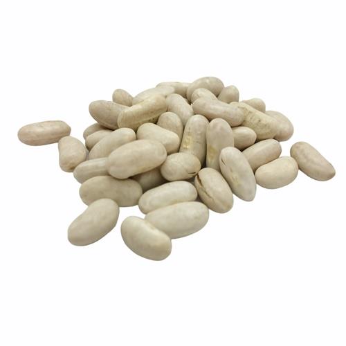 CANNELLINI BEANS DRIED 25KG