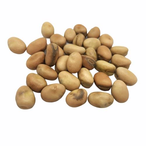 Fava Beans Dried 500g