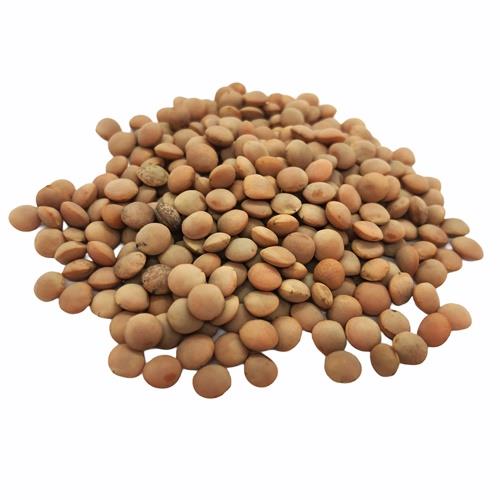 Lentils Red Whole 500g